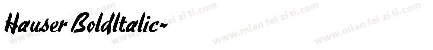 Hauser Boldltalic字体转换